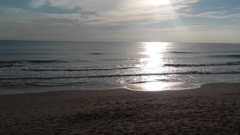 Apartamento Guardamar Playa Guardamar del Segura Bagian luar foto