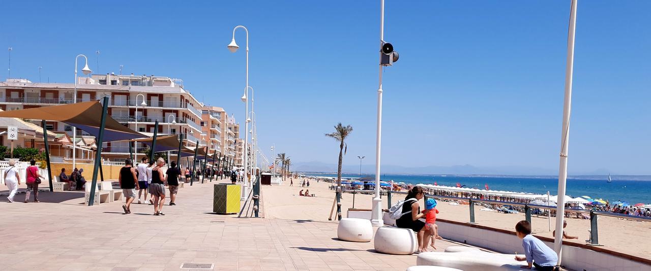 Apartamento Guardamar Playa Guardamar del Segura Bagian luar foto